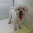 아현초교 이미지