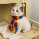 댕댕이냥 이미지