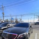 로고스카센타 이미지