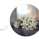 서초대로 224 이미지