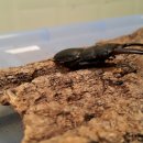 채연농장 이미지