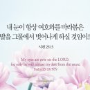건강신발화장품