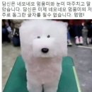 네모의꿈 이미지