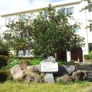 천주교 순례길 - 하논성당길 이미지