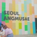 서울 앵무새 - 134776 | 서울 앵무새