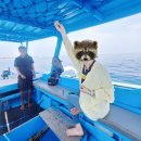 7209 | 길리트라왕안 낚시투어 후기 (초보 가능, 잡은 물고기 먹기)