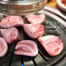 오송현대서비스(주) | 오송 고기집 추천 9292뒷고기 로컬 감성 제대로!