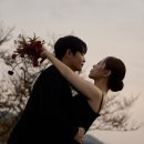 연화목