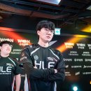 바이퍼코리아 이미지