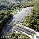 삼일태양광발전소 이미지