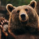 하나농장 이미지