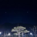 행복하개(happydog)연천애견펜션2호점 | [연천 애견 독채펜션] 행복하개 펜션 가족여행