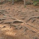 열린타이어카센타 이미지