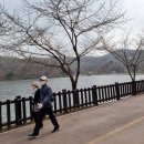 꽃동산어린이공원-2 이미지