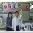 바다로 가는 사람들 이미지