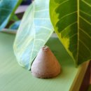 서귀한의원 제주서귀포점 이미지