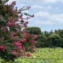 법화사입구 이미지