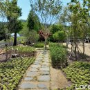 생활권18 이미지