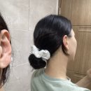 플래니코
