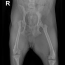 나온동물병원 이미지