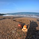 이마트24 영덕공원점 | 강원도도 여름휴가 [영덕/강릉]