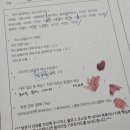 학산빌딩 | 강남퍼스널컬러진단 서초 컬러모아 여름뮤트톤 후기