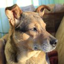 양주동물병원 이미지