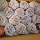 새힘농장 이미지