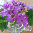 남명삼거리 이미지