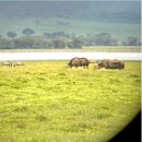 임마누엘팜 | [2024년 새해] 세렝게티 가족여행 후기