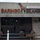 바링고 빈스(BARINGO BEANS)