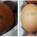 주현2농장 이미지