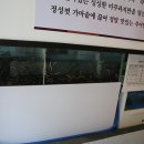 예담추어정 티스토리