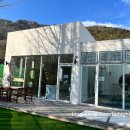 키키디디 이미지