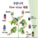(유)푸른나라 네이버블로그