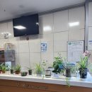 고양장미란체육관 스쿼시장 이미지