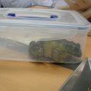 북중학교 이미지