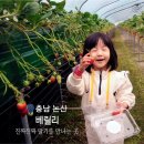 오와이농장 이미지