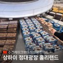 별별케이크 | 상하이 홀리랜드 위치 수건케이크 후기