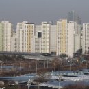 수지도나 이미지