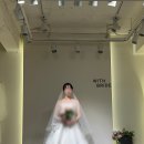 위드바이오 | 본격 드레스 로망 없는 신부의 위드브라이드 본식 가봉 후기 (지정 계약 혜택 공유 🎄) 신민아 드레스가...