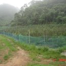 두현농장 이미지