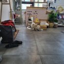 미쁜아토 이미지