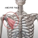 핏걸 이미지