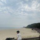 정동초등학교 이미지