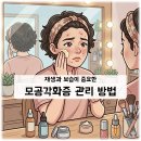 더마초이스 티스토리