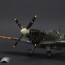 마린슈퍼 이미지