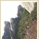 A-2부-2011년10월23일 정수산악회에서 도봉산 등산사진(단풍 이미지