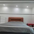 애견천국 이미지