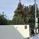 서유의섬 이미지